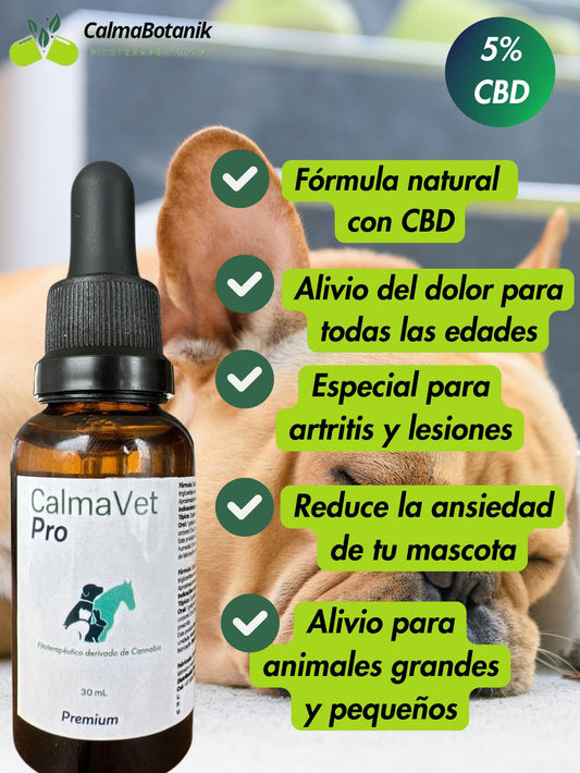 CalmaVet Pro 5% CBD (1500 mg)